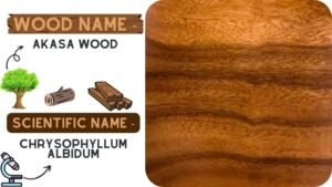 40+ Different Types of Wood | Lumber Or Wood Types | Popular Hard Wood ...