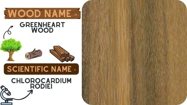 Greenheart Wood (Chlorocardium Rodiei)