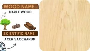 40+ Different Types of Wood | Lumber Or Wood Types | Popular Hard Wood ...